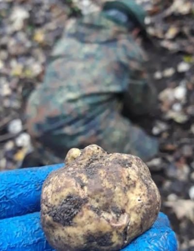 Scillo Tartufi Tartufi web 1