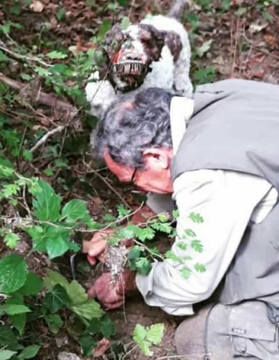 Scillo Tartufi Tartufi web 11