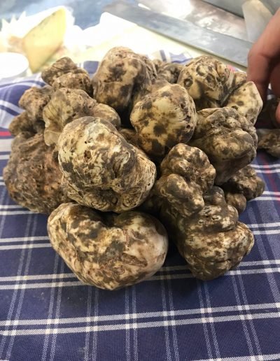 Scillo Tartufi Tartufi web 16