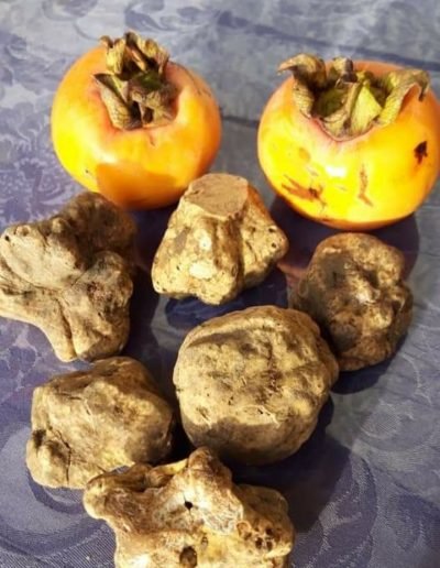 Scillo Tartufi Tartufi web 17