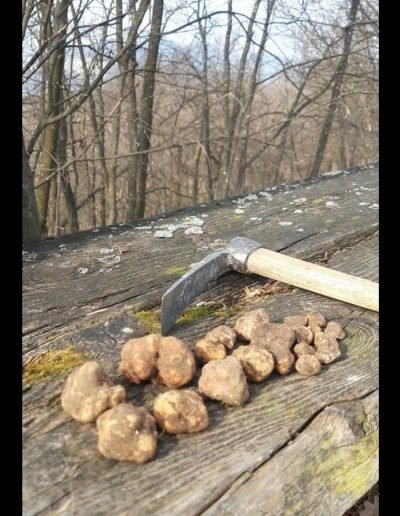 Scillo Tartufi Tartufi web 20