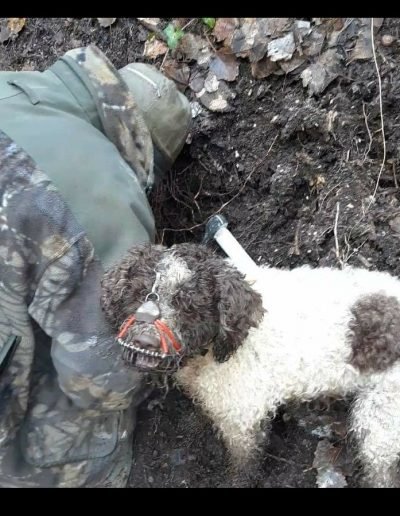 Scillo Tartufi Tartufi web 23