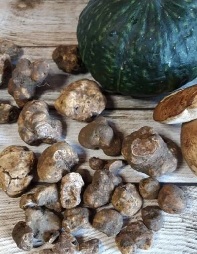 Scillo Tartufi Tartufi web 5