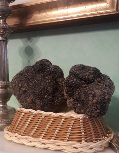 scillo tartufi tartufi01